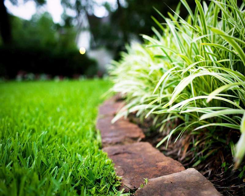 Weed/Feed Services